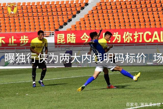 曝独行侠为两大内线明码标价 场均14+7悍将换首轮签值不值？